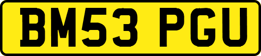 BM53PGU