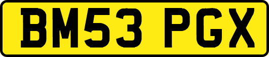BM53PGX