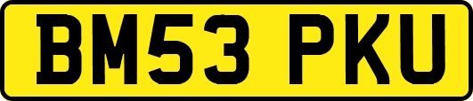 BM53PKU