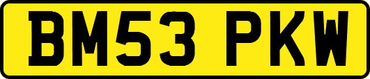 BM53PKW