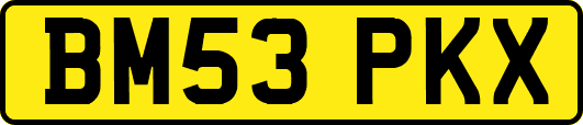 BM53PKX