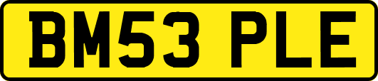 BM53PLE