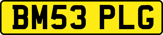 BM53PLG