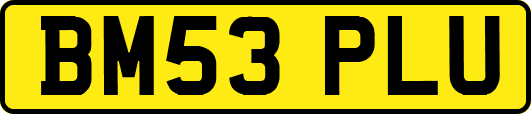BM53PLU