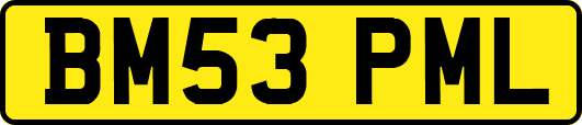 BM53PML