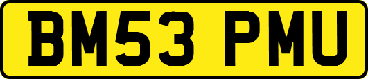 BM53PMU