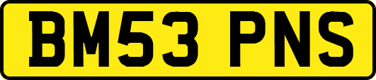 BM53PNS