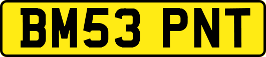 BM53PNT