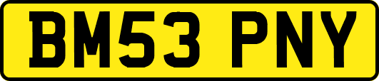 BM53PNY