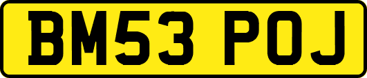 BM53POJ