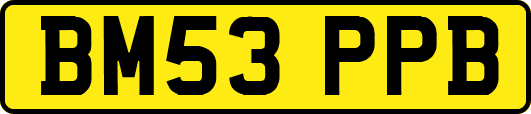 BM53PPB
