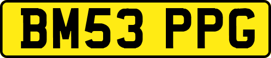BM53PPG