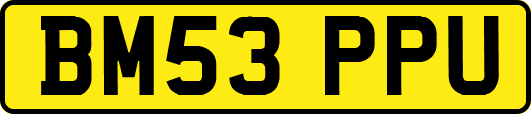 BM53PPU