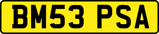 BM53PSA