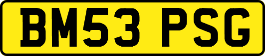 BM53PSG
