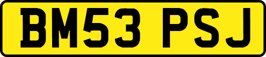 BM53PSJ