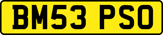 BM53PSO