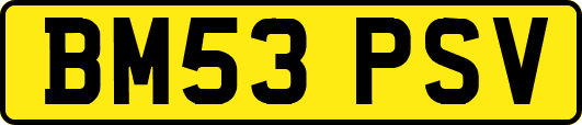 BM53PSV