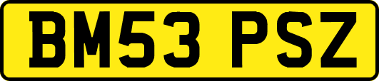 BM53PSZ