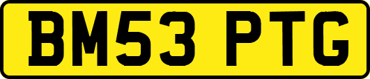 BM53PTG