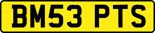 BM53PTS