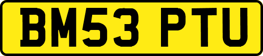 BM53PTU