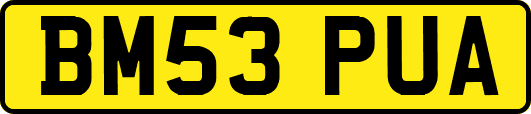 BM53PUA