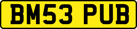 BM53PUB