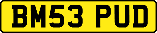 BM53PUD