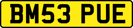 BM53PUE