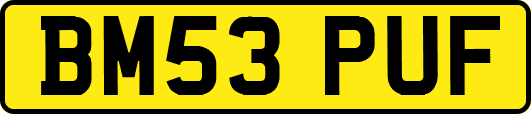BM53PUF