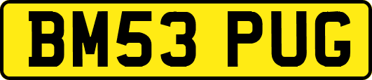 BM53PUG