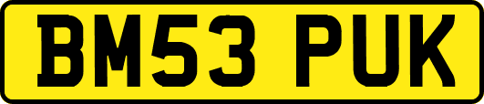 BM53PUK