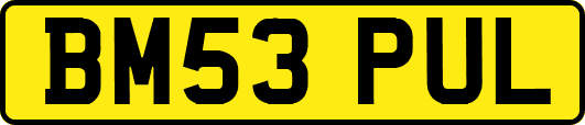 BM53PUL
