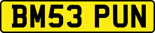 BM53PUN