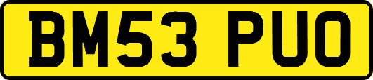 BM53PUO