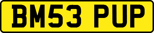 BM53PUP