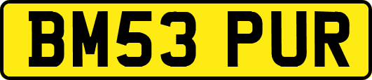 BM53PUR