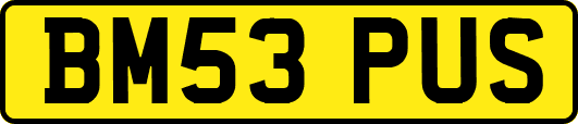 BM53PUS