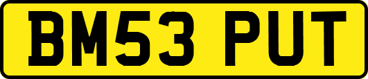 BM53PUT