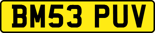 BM53PUV