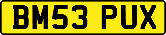 BM53PUX