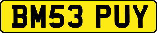 BM53PUY
