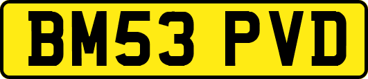 BM53PVD