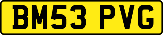 BM53PVG