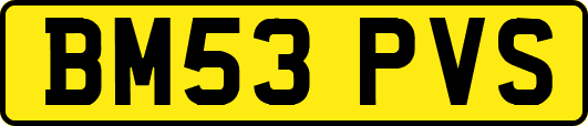 BM53PVS