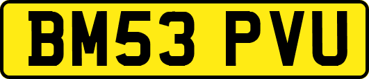 BM53PVU