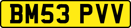 BM53PVV