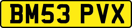 BM53PVX