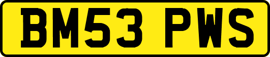 BM53PWS